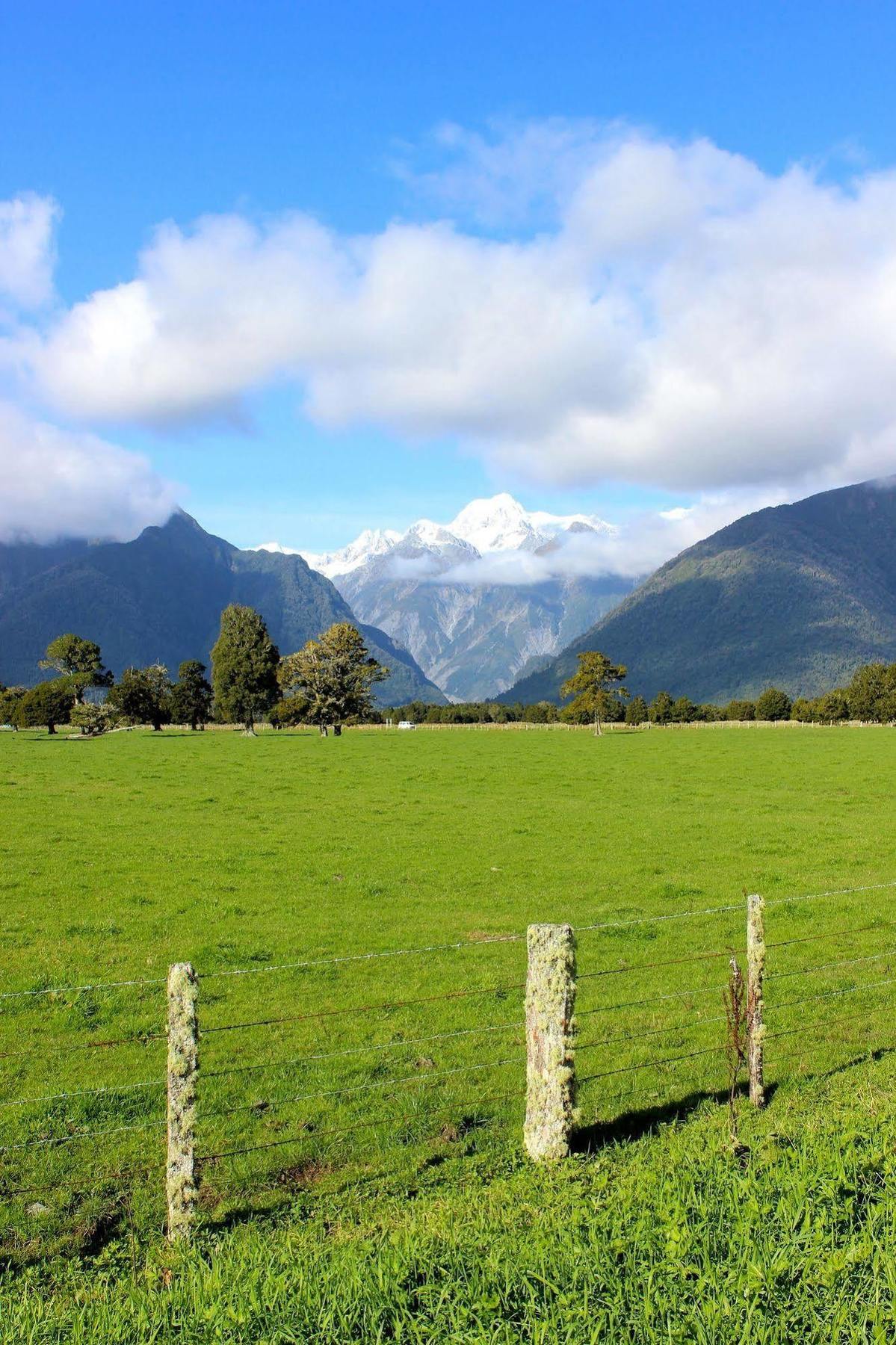 Lake Matheson Motel Ледник Фокса Экстерьер фото